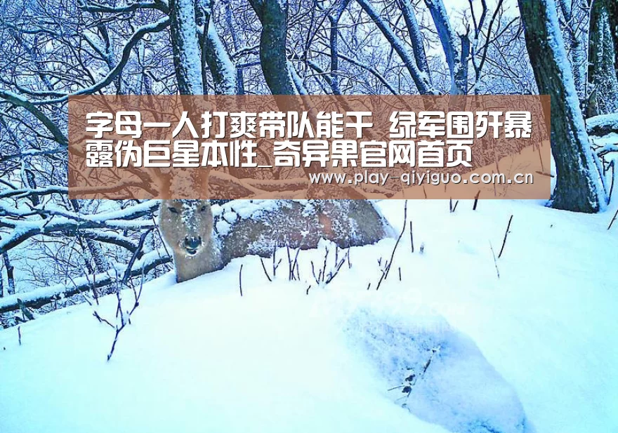 字母一人打爽带队能干 绿军围歼暴露伪巨星本性_奇异果官网首页(图3) 奇异果官网首页